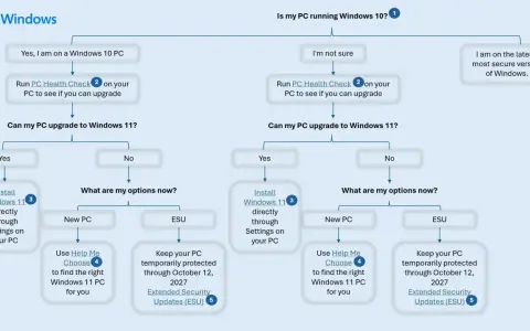 Schemat decyzyjny dotyczący aktualizacji z Windows 10 do Windows 11. Sprawdź, czy Twój PC jest gotowy na Windows 11.