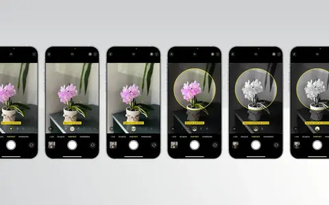 Sześć ekranów iPhone'a z różnymi efektami oświetlenia portretowego, w tym tryb nocny.